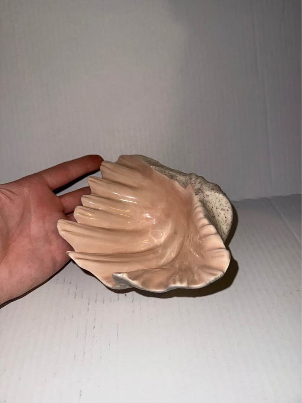 Vintage Large Deco Regency Ceramic Shell Clamshell Bowl Signed